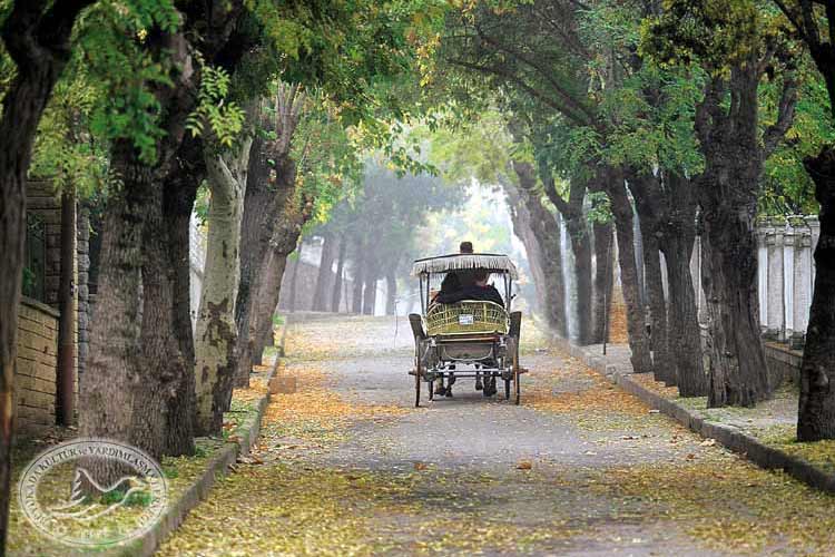 Prince`s Island Tour (Istanbul Tour)